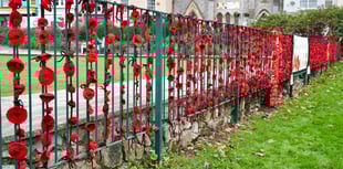 Volunteers needed for Dawlish Poppy Wall Tribute