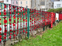 Volunteers needed for Dawlish Poppy Wall Tribute