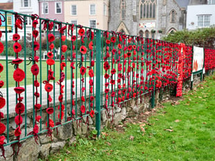 Appeal for Hand-Knitted Poppies