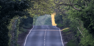 Free theory test practice at Teignbridge libraries 