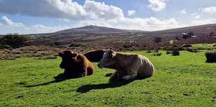 Second homes add to pressure on councils