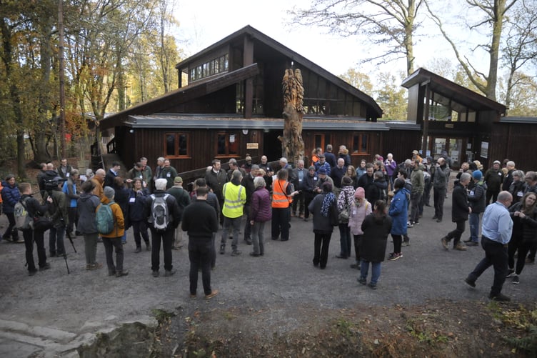 Restoring Stover Park Project