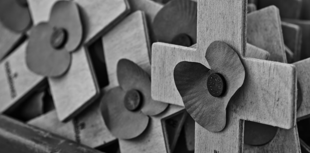 Poppy Appeal raises more than £30,000