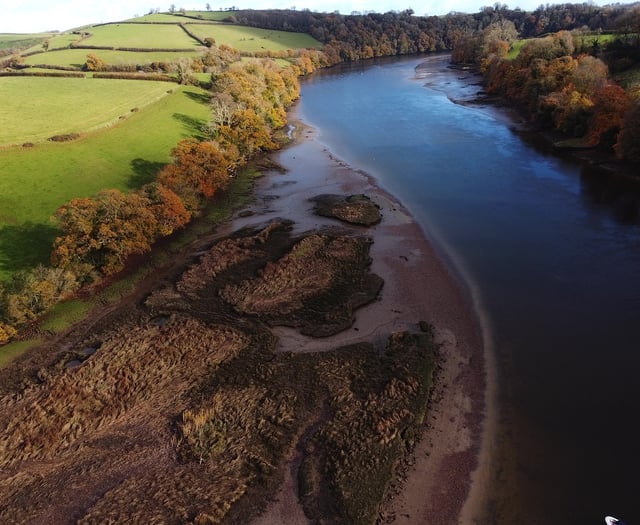 Serious water pollution up by more than half in England