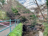 Storm Darragh affects south Devon 