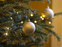 It's time to say goodbye to the Christmas tree 