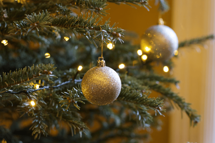 Christmas tree stock image