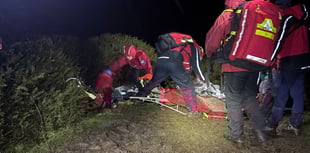 Rescuers record second busiest year