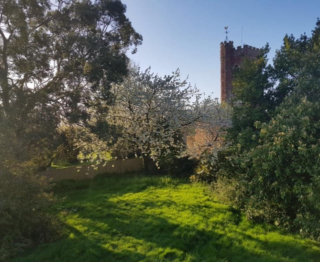 New community garden project launched