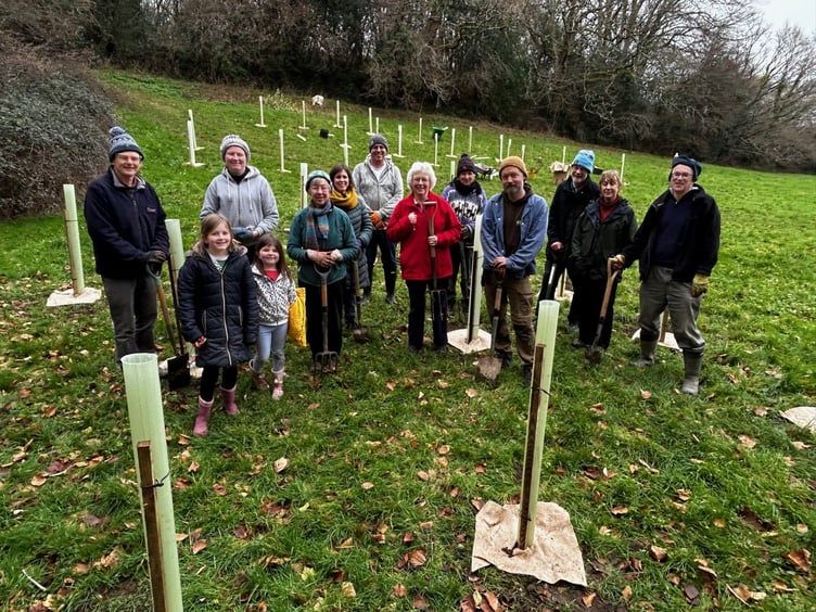 Volunteers planted more than 100 native trees in Bovey Tracey. Photo Nigel Canham