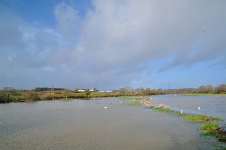 Flooded fields near Teigngrace
