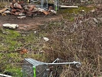 Bid to clear town of rogue shopping trolleys