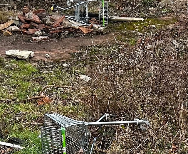 Bid to clear town of rogue shopping trolleys