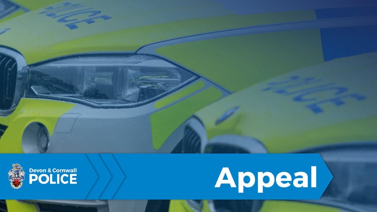 Police crash investigators appealing for witnesses to accident on A38.