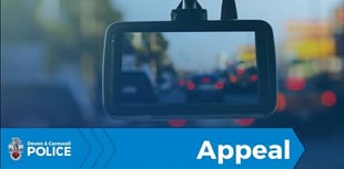 Appeal after marked police vehicle involved in collision 