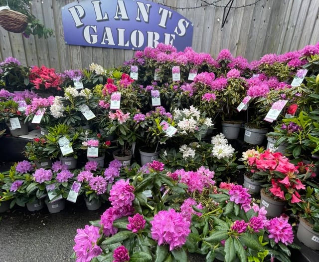 Road closure spells disaster for businesses