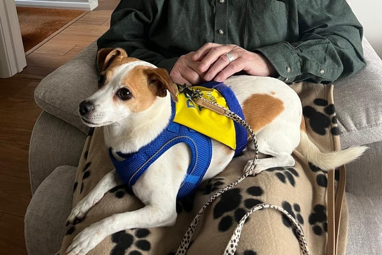 Specially-trained carers and therapy dogs visit CareRight