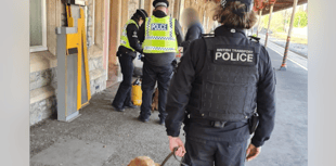 Cannabis, ecstasy and ketamine seized thanks to police dog Polly 