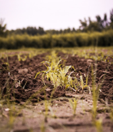Farmers urged to take action as soil pollution incidents double