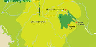 Plans to protect and enhance East Dartmoor