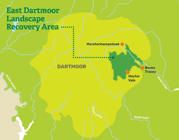East Dartmoor Landscape Recovery area. Photo Devon Wildlife Trust 