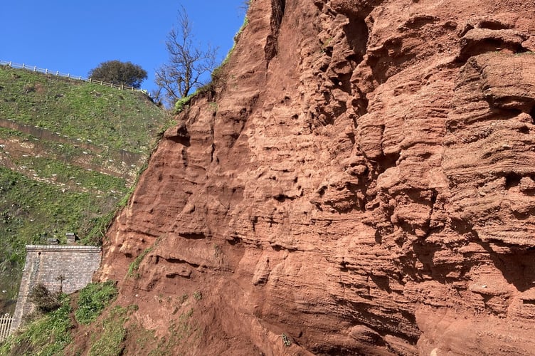 Cliff fall Coryton Cove. Photo Teignbridge Council