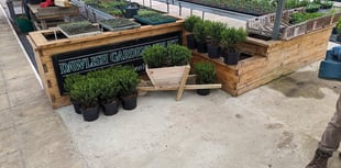 Gardens trust prepares to open for summer season 