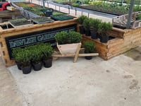 Gardens trust prepares to open for summer season 