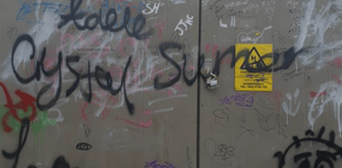 Anti-social behaviour prompts police response 