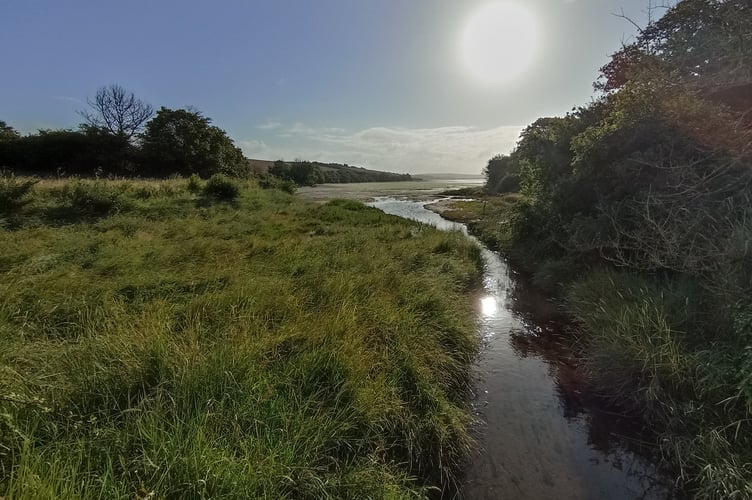 Healthy stream ... healthy river ... healthy estuary = healthier coast - Nigel Mortimer