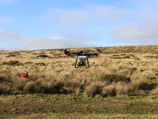Drones used to sow seeds in rainforest rebuild project 