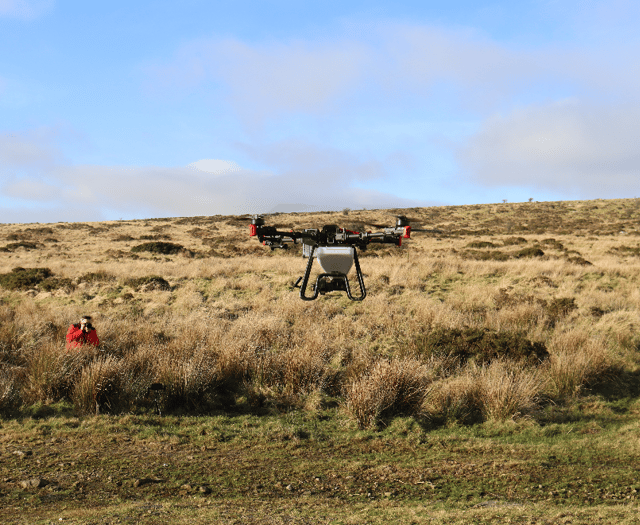 Drones used to sow seeds in rainforest rebuild project 
