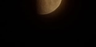 Lunar eclipse captured just before dawn