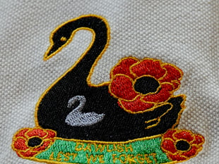 Royal Navy veteran raises £3,600 for Poppy Appeal with Dawlish badges