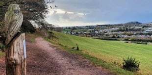 New parks ease pressure on wildlife havens