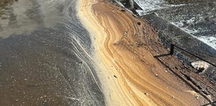 Non-toxic algae on Dawlish Brook