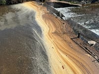 Non-toxic algae on Dawlish Brook