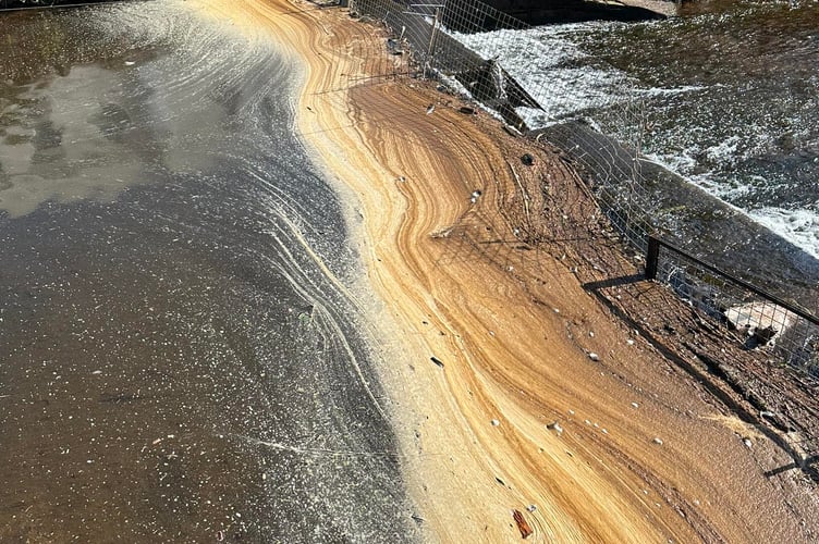 Dawlish Brook.  photo Maidan Larisa