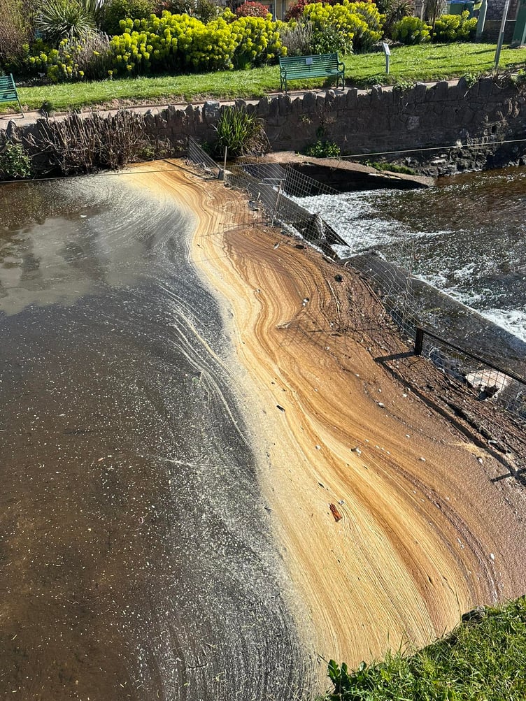 Dawlish Brook.  photo Maidan Larisa