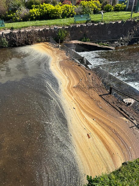Dawlish Brook.  photo Maidan Larisa