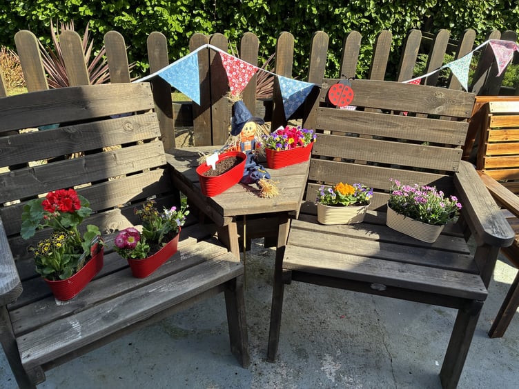 New planting at Mulberry House Care Home in Bovey Tracey.