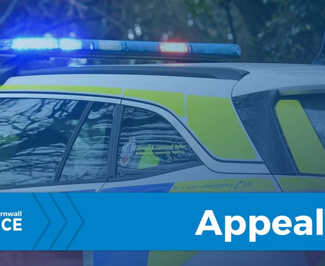 Armed men force way inside home and make off with cash 