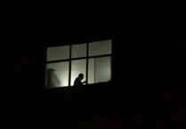 Over 400 reports of stalking in single month, FOI request shows