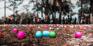 Egg-cellent Easter events at countryside parks 