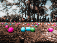 Egg-cellent Easter events at countryside parks 