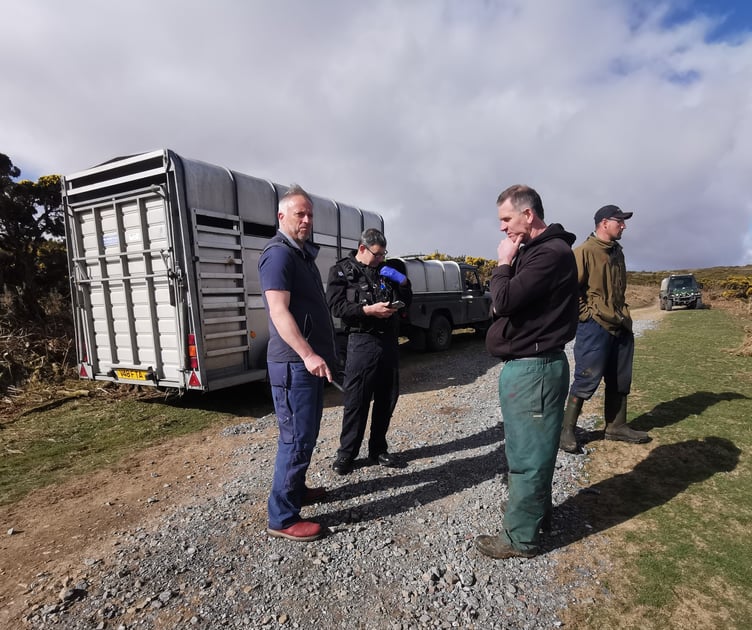 Trailer containing stolen sheep found by farmers at Holne Moor. Photo Roberta Bishop