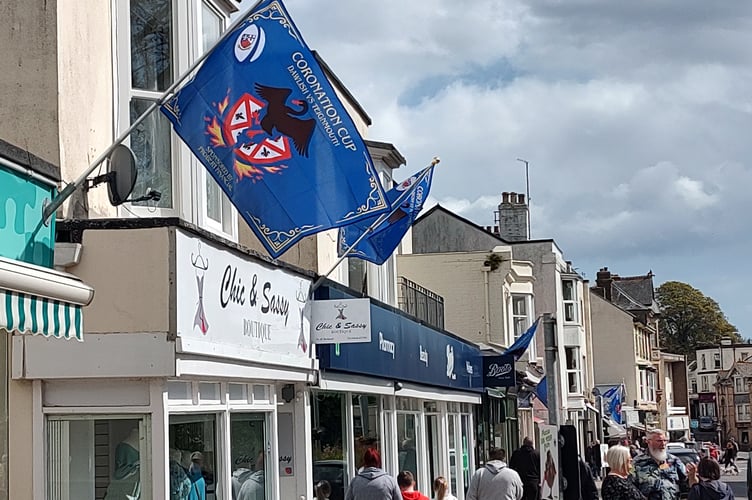 Dawlish Town supporting their team