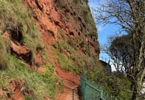 Rockfall closes Dawlish footpath