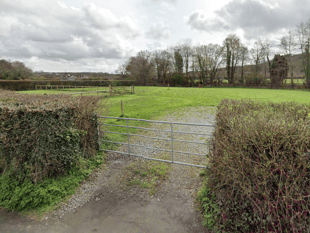 Dedicated dog-walking field coming to Liverton?