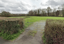 Dedicated dog-walking field coming to Liverton?